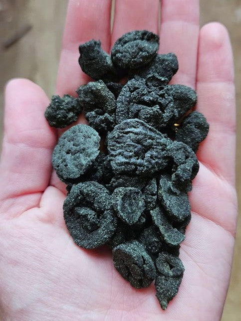Truffula Treats – Premium Wood Eating Pleco Food with Spirulina & Cellulose