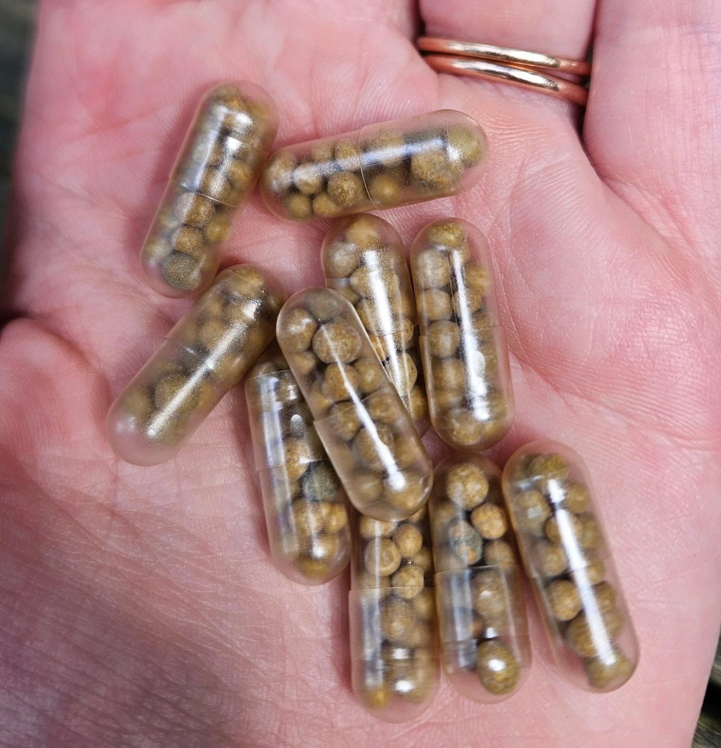 Root Fertilizer Tabs for Aquarium Plants