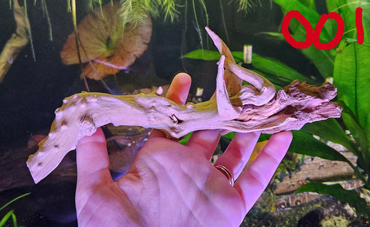 Driftwood 6-8in