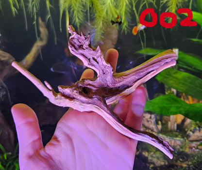 Driftwood 6-8in