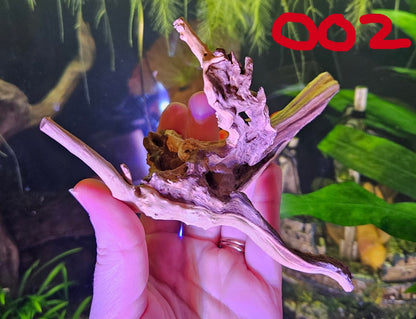 Driftwood 6-8in
