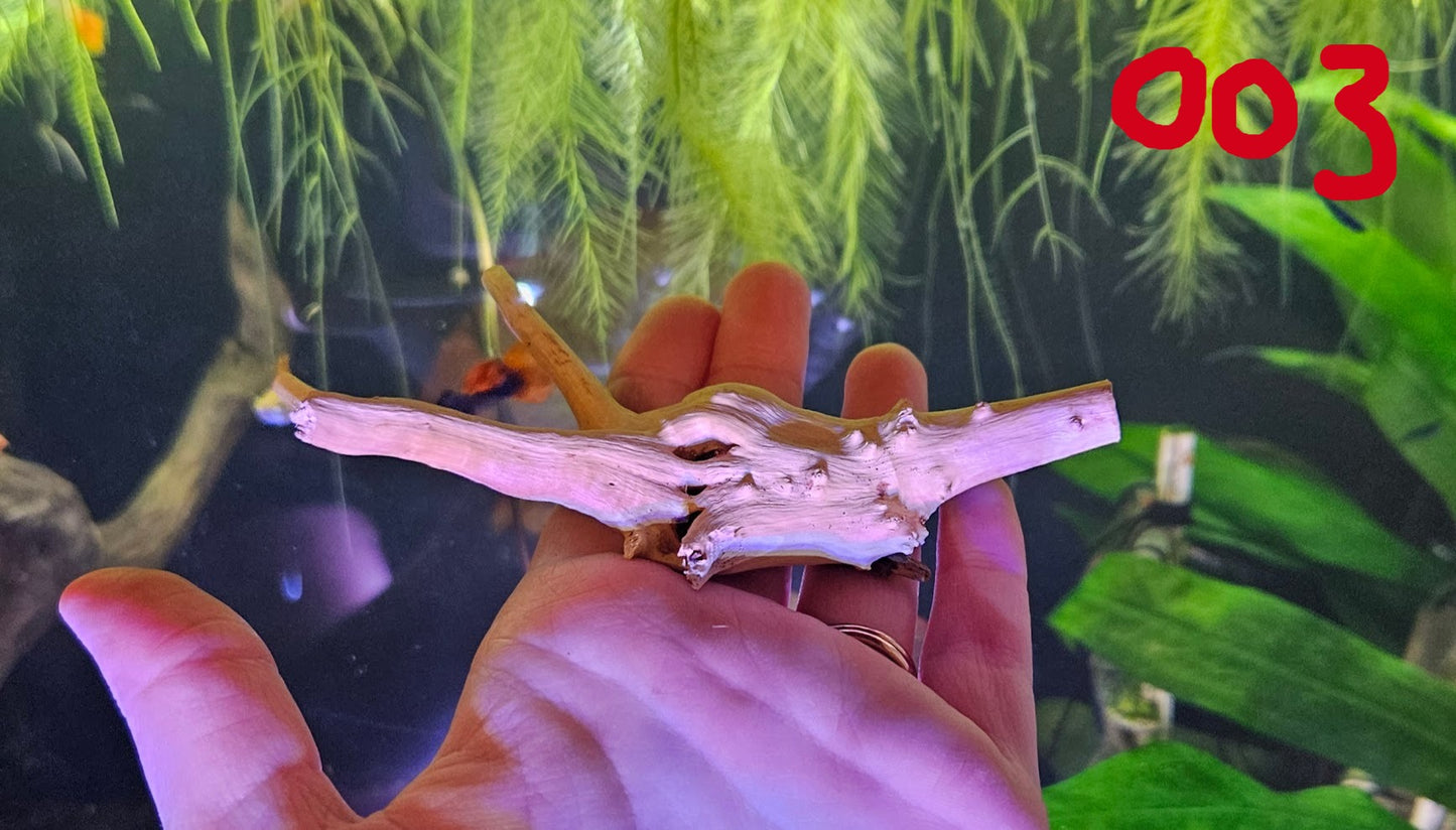 Driftwood 4-6in
