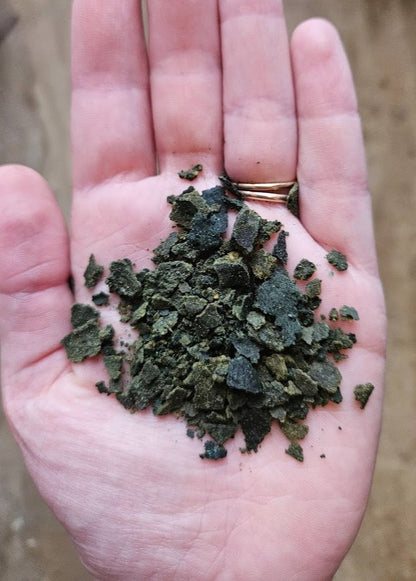 Buggy Buffet – Gourmet Insect Flakes for Bettas, Guppies & Nano Fish